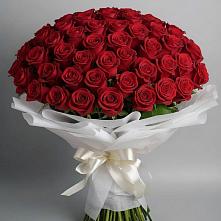 Букет 101 Красная роза Блэк Мэджик в Щёлково