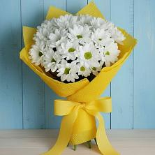 Букет цветов из:  Хризантемы в Щёлково