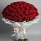 Букет 101 Красная роза Блэк Мэджик в Щёлково