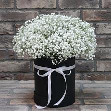 Цветочная композиция из Гипсофила в шляпной коробке #REPLACE_PRED# Щёлково