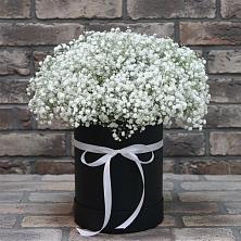Цветочная композиция из Гипсофила в шляпной коробке в Щёлково