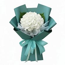 Букет цветов из:  Гортензия в Щёлково